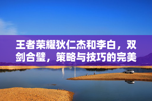 王者荣耀狄仁杰和李白，双剑合璧，策略与技巧的完美结合
