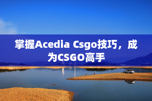 掌握Acedia Csgo技巧，成为CSGO高手