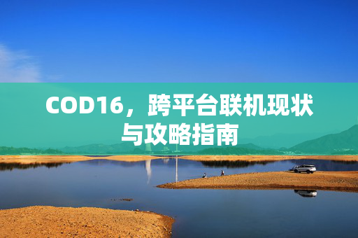 COD16，跨平台联机现状与攻略指南