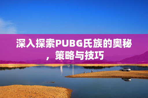 深入探索PUBG氏族的奥秘，策略与技巧