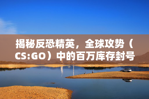 揭秘反恐精英，全球攻势（CS:GO）中的百万库存封号之谜