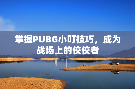 掌握PUBG小叮技巧，成为战场上的佼佼者