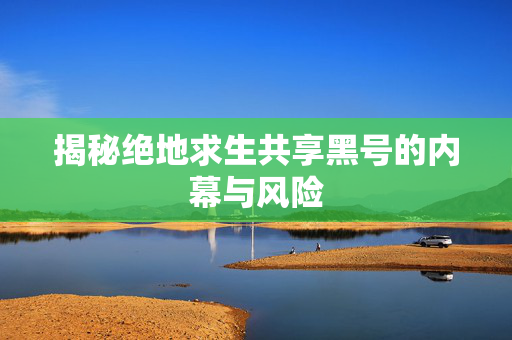 揭秘绝地求生共享黑号的内幕与风险