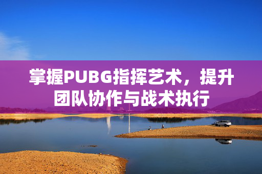 掌握PUBG指挥艺术，提升团队协作与战术执行