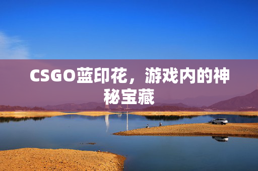 CSGO蓝印花，游戏内的神秘宝藏