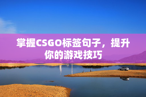 掌握CSGO标签句子，提升你的游戏技巧