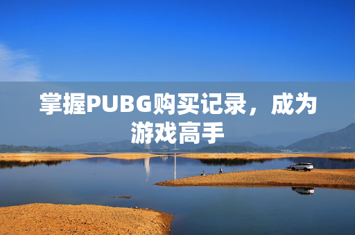掌握PUBG购买记录，成为游戏高手