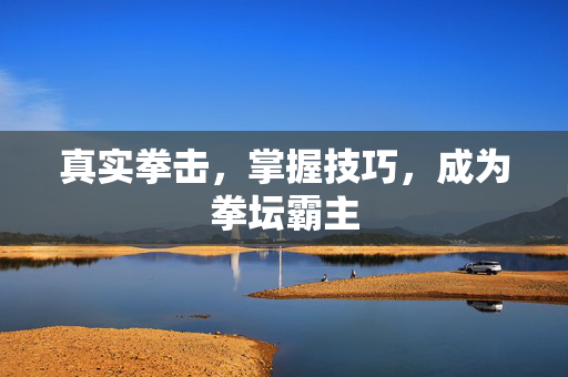 真实拳击，掌握技巧，成为拳坛霸主