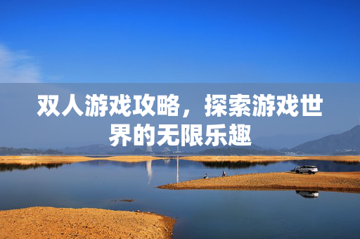 双人游戏攻略，探索游戏世界的无限乐趣
