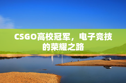 CSGO高校冠军，电子竞技的荣耀之路