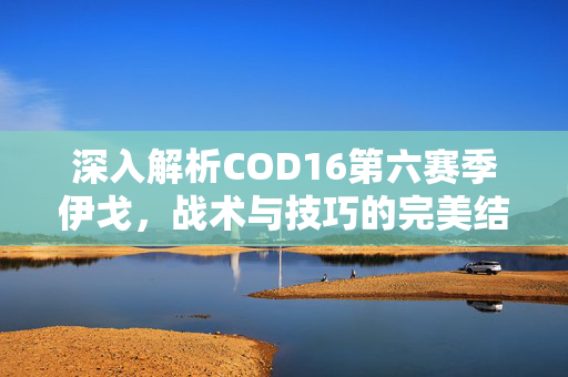 深入解析COD16第六赛季伊戈，战术与技巧的完美结合