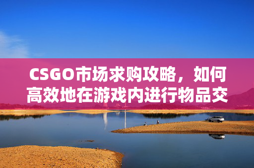 CSGO市场求购攻略，如何高效地在游戏内进行物品交易