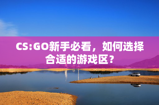 CS:GO新手必看，如何选择合适的游戏区？