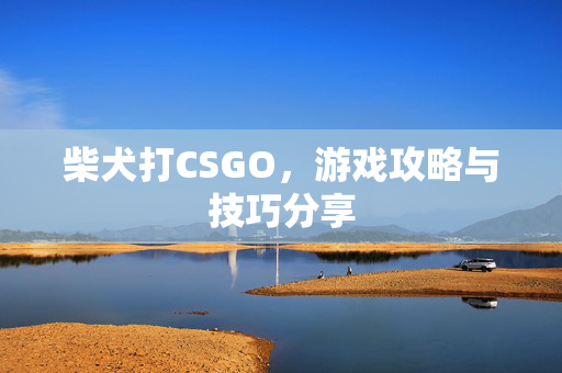 柴犬打CSGO，游戏攻略与技巧分享