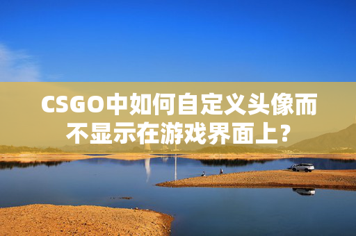 CSGO中如何自定义头像而不显示在游戏界面上？