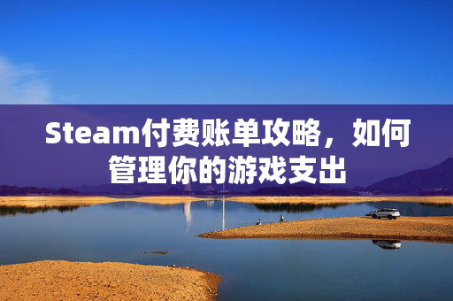 Steam付费账单攻略，如何管理你的游戏支出