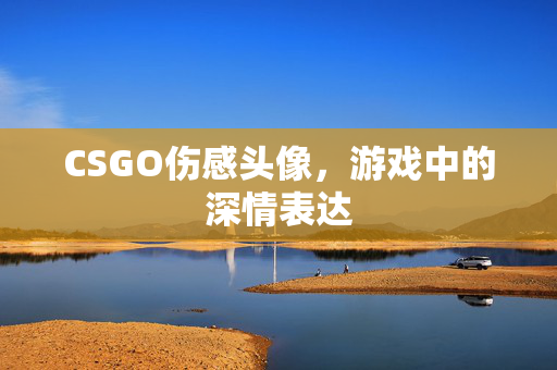 CSGO伤感头像，游戏中的深情表达