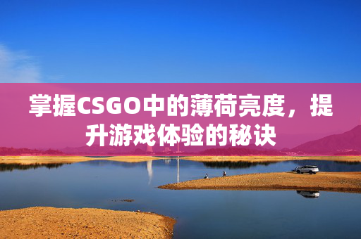 掌握CSGO中的薄荷亮度，提升游戏体验的秘诀