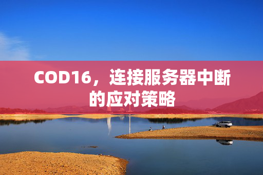 COD16，连接服务器中断的应对策略