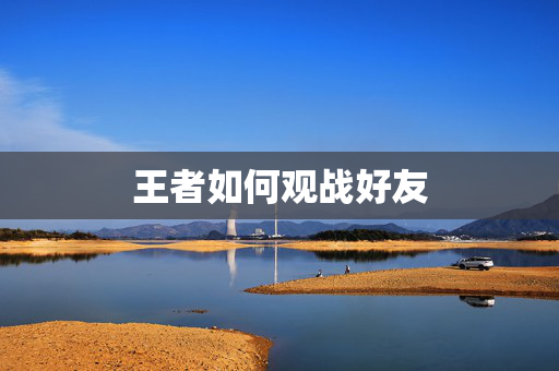 王者如何观战好友