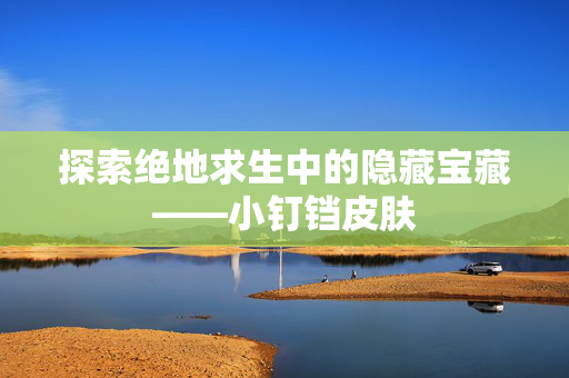 探索绝地求生中的隐藏宝藏——小钉铛皮肤