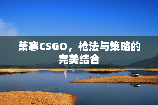 萧寒CSGO，枪法与策略的完美结合