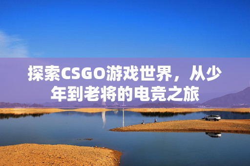 探索CSGO游戏世界，从少年到老将的电竞之旅