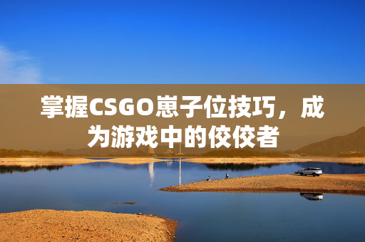 掌握CSGO崽子位技巧，成为游戏中的佼佼者