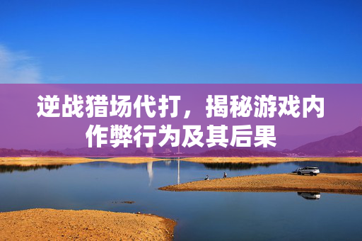 逆战猎场代打，揭秘游戏内作弊行为及其后果