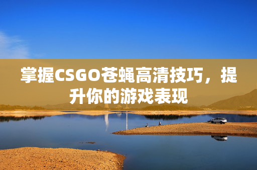掌握CSGO苍蝇高清技巧，提升你的游戏表现