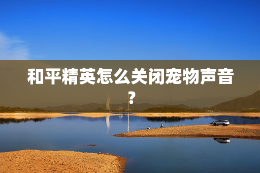 和平精英怎么关闭宠物声音？