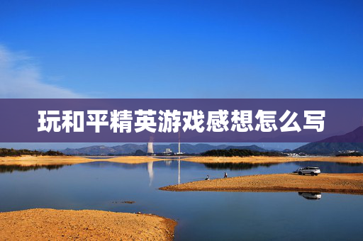 玩和平精英游戏感想怎么写