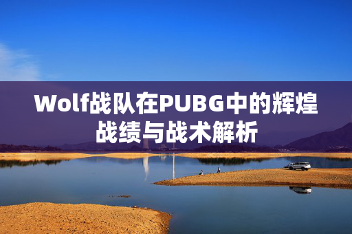 Wolf战队在PUBG中的辉煌战绩与战术解析