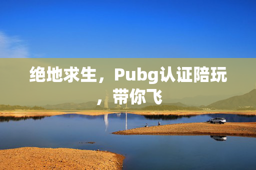 绝地求生，Pubg认证陪玩，带你飞