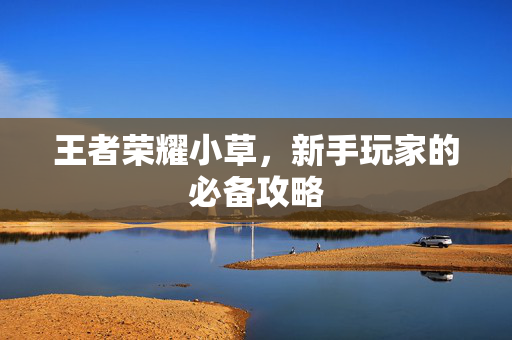 王者荣耀小草，新手玩家的必备攻略
