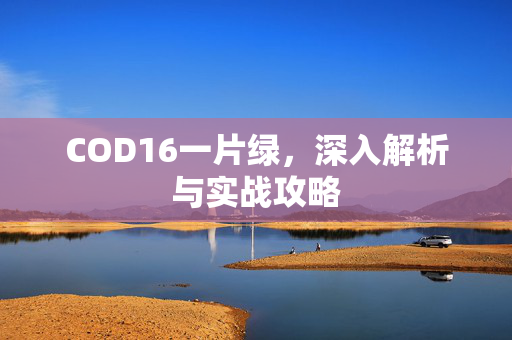 COD16一片绿，深入解析与实战攻略