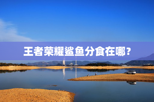 王者荣耀鲨鱼分食在哪？