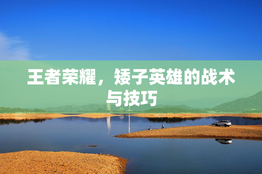 王者荣耀，矮子英雄的战术与技巧