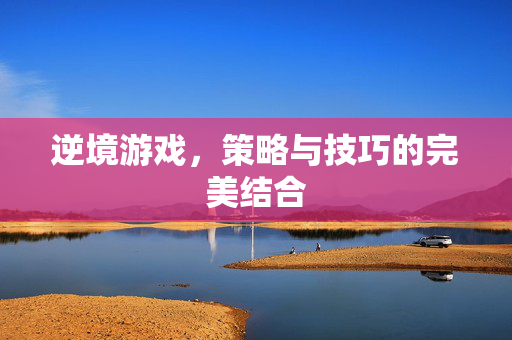 逆境游戏，策略与技巧的完美结合
