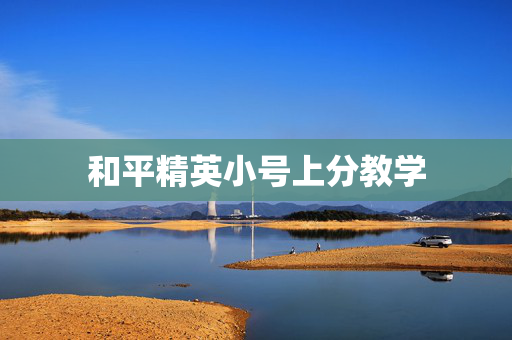 和平精英小号上分教学