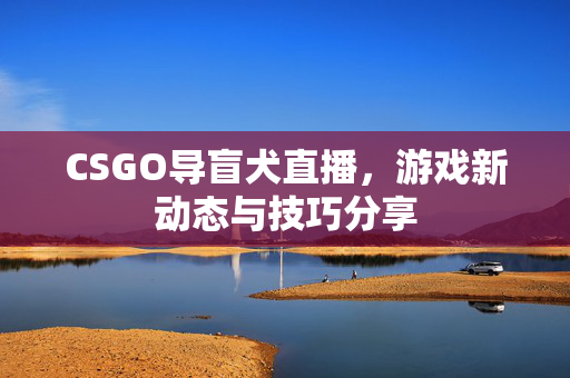 CSGO导盲犬直播，游戏新动态与技巧分享