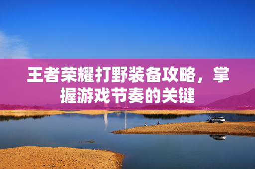 王者荣耀打野装备攻略,掌握游戏节奏的关键 王者荣耀打野装备攻略,掌握游戏节奏的关键