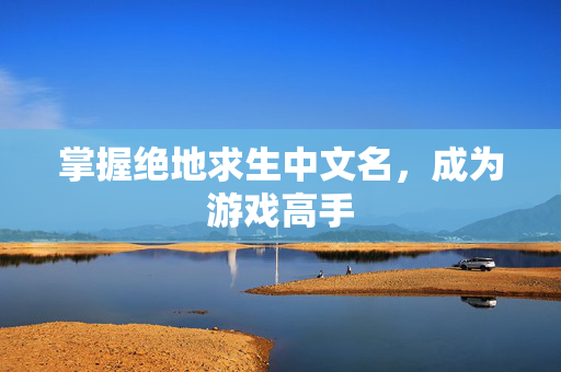 掌握绝地求生中文名，成为游戏高手