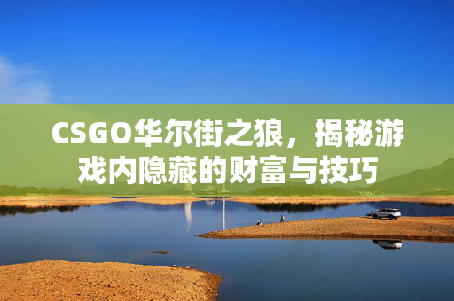 CSGO华尔街之狼，揭秘游戏内隐藏的财富与技巧