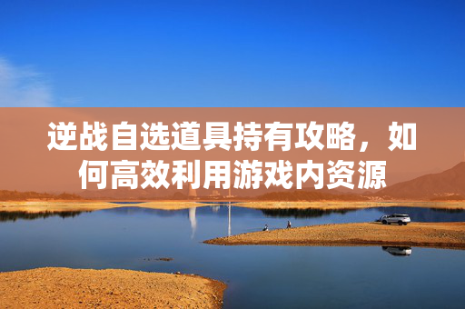 逆战自选道具持有攻略，如何高效利用游戏内资源