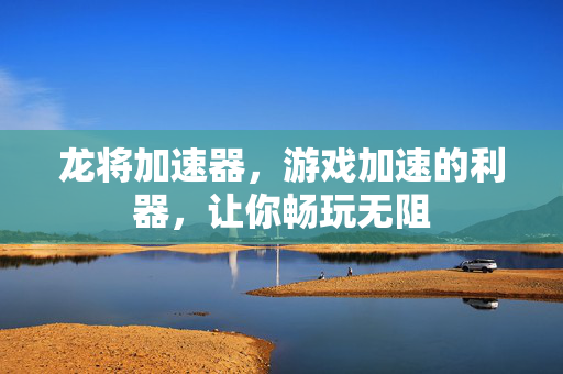 龙将加速器，游戏加速的利器，让你畅玩无阻