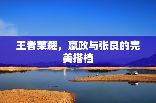 王者荣耀，嬴政与张良的完美搭档