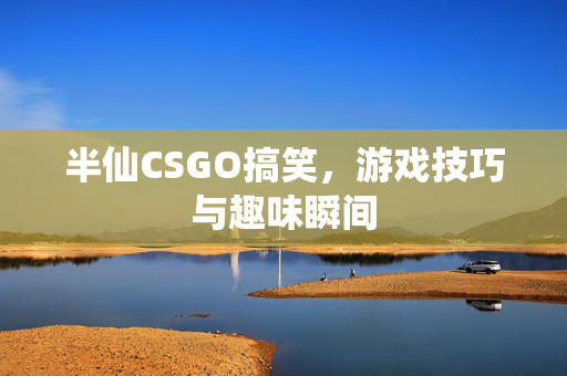 半仙CSGO搞笑，游戏技巧与趣味瞬间