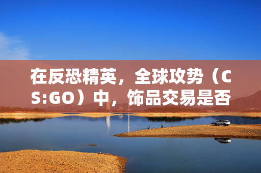 在反恐精英，全球攻势（CS:GO）中，饰品交易是否赚钱？