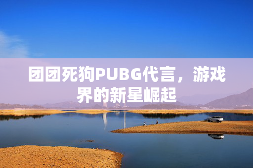 团团死狗PUBG代言，游戏界的新星崛起